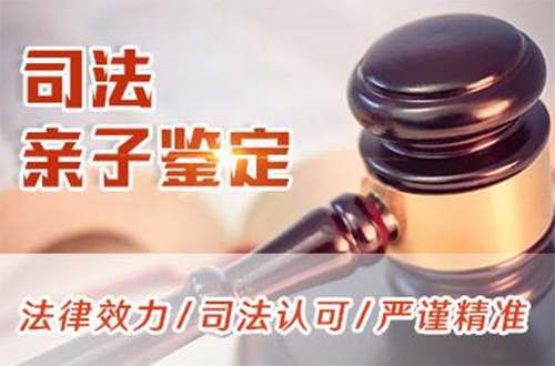 红河司法亲子鉴定大概多少钱,