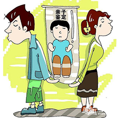 红河偷偷做亲子鉴定怎么做(电话咨询)，红河亲子鉴定流程是什么