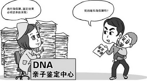 红河能做DNA亲子鉴定吗,红河做DNA亲子鉴定收费情况